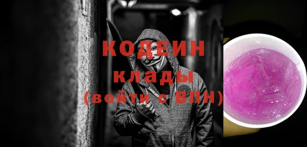 гашик Арсеньев