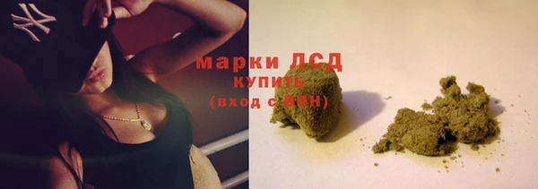 гашик Арсеньев