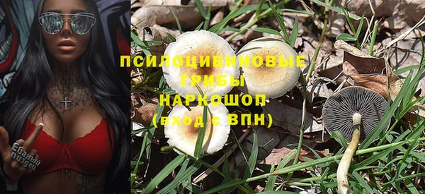 соль ск Балахна