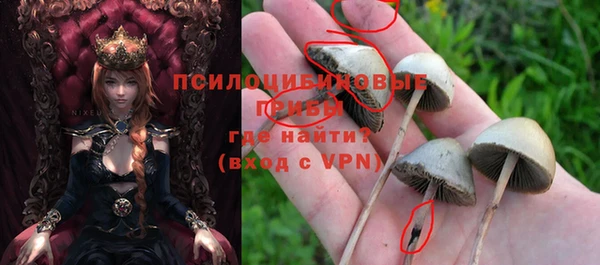 гашик Арсеньев