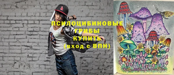 гашик Арсеньев