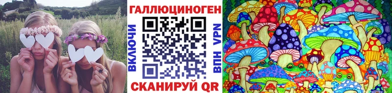 ссылка на мегу tor  Гвардейск  Псилоцибиновые грибы прущие грибы 